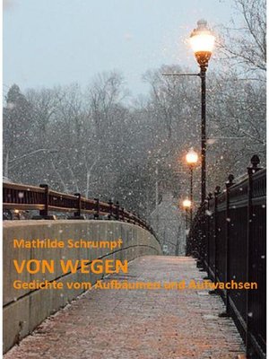cover image of Von Wegen